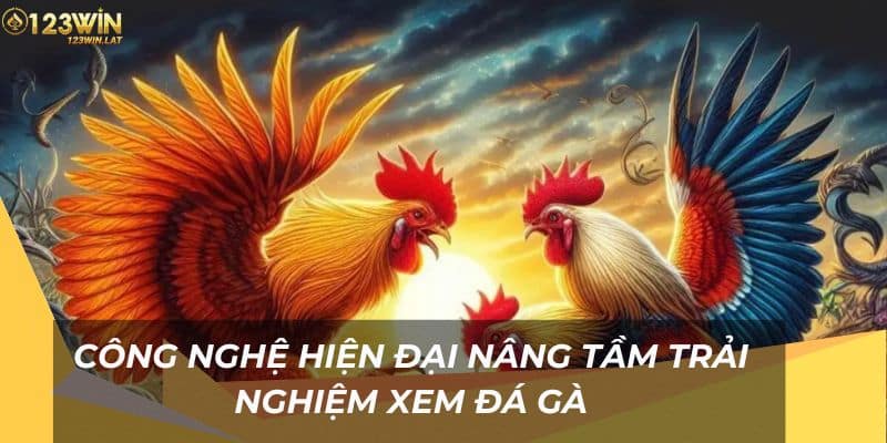 Công nghệ hiện đại nâng tầm trải nghiệm xem đá gà